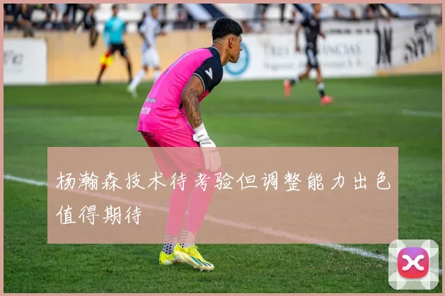 杨瀚森技术待考验但调整能力出色值得期待